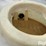 300-gal-water-tank-image-10