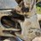 bobcat-325-image-52