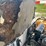 ez-go-textron-electric-golf-cart-image-8