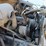 #22933-•-1988-international-51900,-parts-|-repair-only-image-14