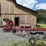 #120-•-2024-timberbuddy-mp360-portable-bandmill-image-6