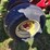 case-ih-496-image-7
