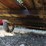 #22946-•-12ft-tag-trailer,-rear-gate,-single-axle-|-no-title-image-10