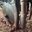 john-deere-8350-image-27