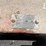 new-idea-121-image-4