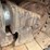 2013-caterpillar-d6t-xw-image-21