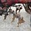 944---farmall-130-(sn#-2772)-image-11