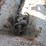#41-•-#26819-•-danuser-68'x20"-skid-steer-concrete-mixer-image-11