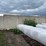 bunker-l--walls-(120'-+/--total)---off-site-image-7