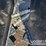 unused-jct-tree-puller-to-suit-skidsteer-image-10