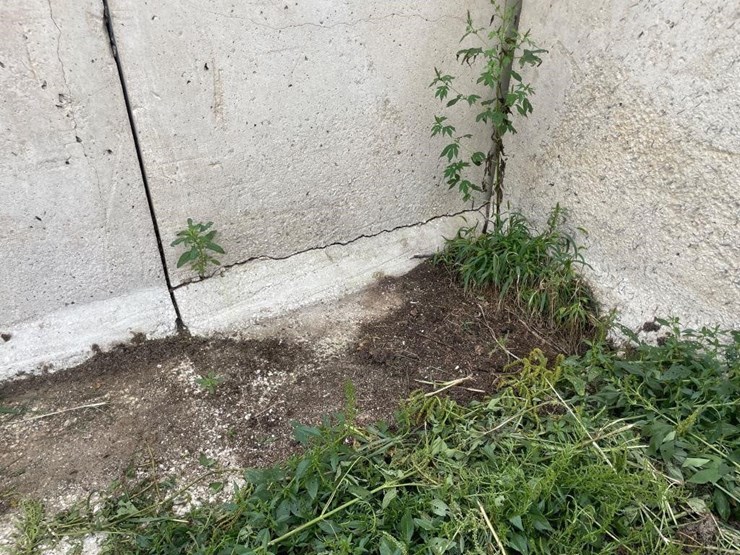 bunker-l--walls-(120'-+/--total)---off-site-image-3