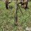 tillage-image-9