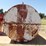 5200-gallon-tank,-8'-diameter,-14'---high-image-4