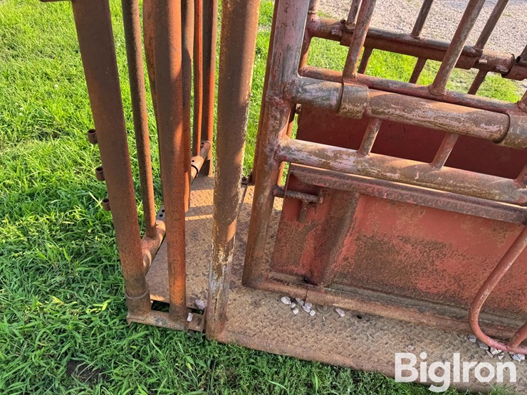 cattle-chute-image-20