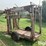cattle-chute-image-8