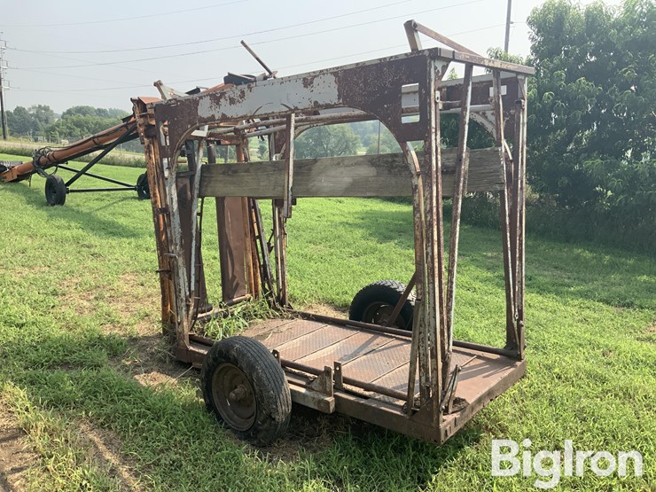 cattle-chute-image-8