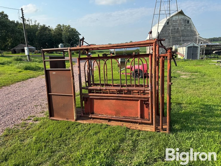 cattle-chute-image-8