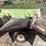 john-deere-844-image-9