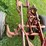 #7468-•-international-harvester-multi-bottom-plow-image-24