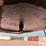 2018-timpte-super-hopper-image-9