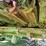 2011-john-deere-612c-image-12