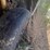 ford-f250-image-6