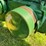 john-deere-model-b-image-31