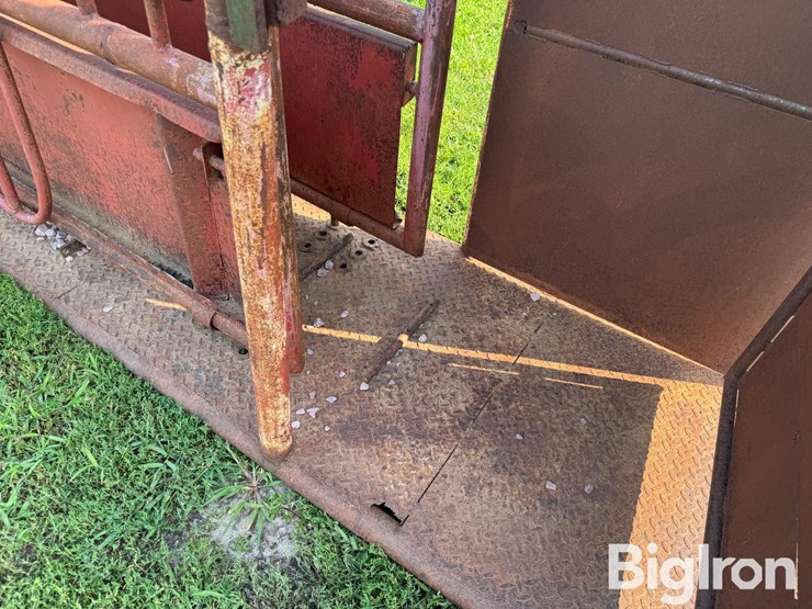 cattle-chute-image-15