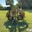 1994-vermeer-r24-image-2