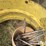 john-deere-16-image-20