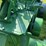 john-deere-model-a-image-45