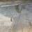 #8109-•-steel-sheet-stock-(shed)-image-2