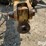 holcomb-1200-image-13