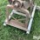 ear-corn-grinder-image-16