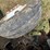 #48-•-#25351-•-inop-2005-gmc-c7500-t/a-daycab-truck-tractor-vin:-1gdm7c1395f500732-image-7