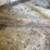 buggy-jack-and-studebaker-buggy-seat-image-22