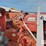 1961-allis-chalmers-d19-image-16