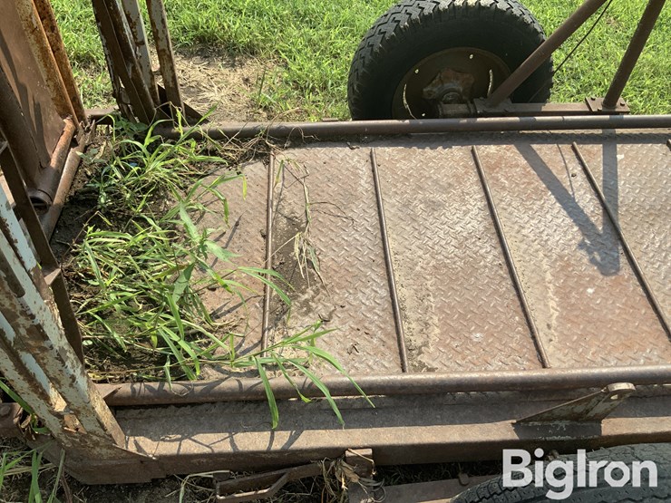 cattle-chute-image-12