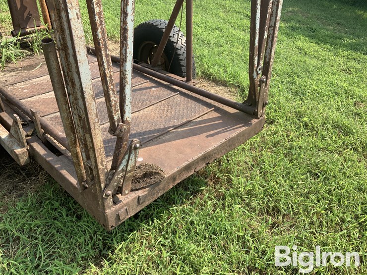 cattle-chute-image-15