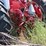 farmall-300-with-loader-image-9