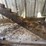 buggy-jack-and-studebaker-buggy-seat-image-30
