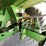 2012-john-deere-7760-image-99