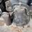 crystal-metal-bell-and-cow-bell-image-1