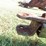 john-deere-8300-image-12