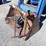 ford-2120-image-7