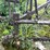 #7496-•-antique-field-cultivator-image-10