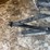 buggy-jack-and-studebaker-buggy-seat-image-4