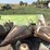 john-deere-844-image-20