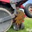 case-ih-1200-image-18