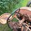 #6681-•-1937-allis-chalmers-tractor-image-20